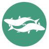 Lystfiskerforeningen AROS